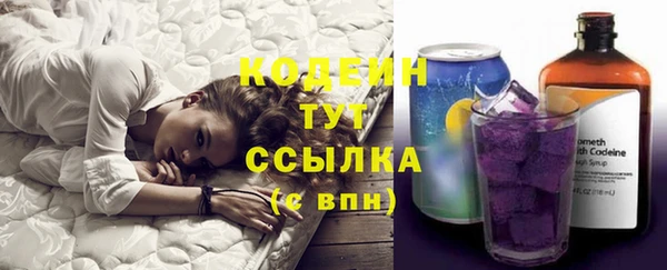 не бодяженный Гусев