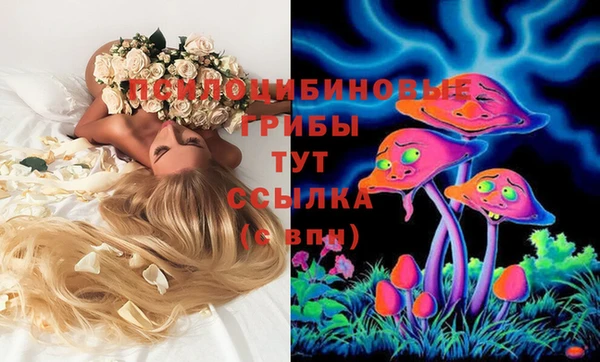не бодяженный Гусев