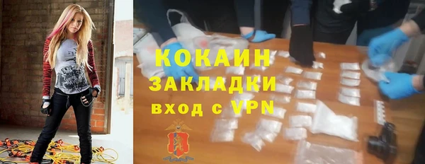 не бодяженный Гусев
