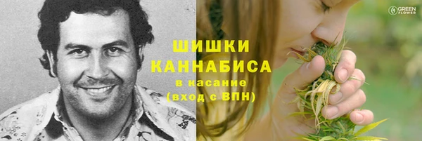гидропоника Гусь-Хрустальный