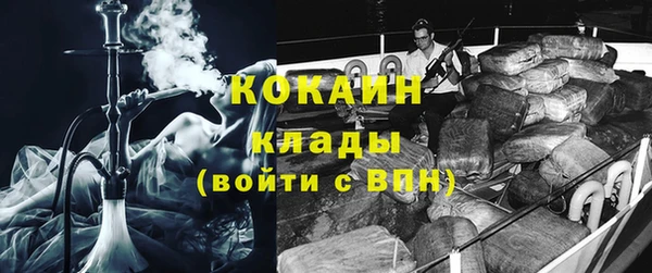 не бодяженный Гусев