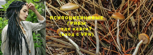не бодяженный Гусев