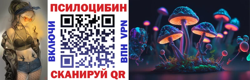 нарко площадка клад  Заинск  Псилоцибиновые грибы Cubensis 